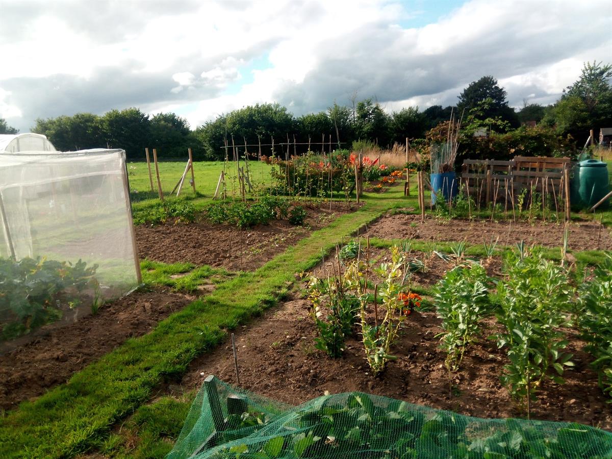 Allotments