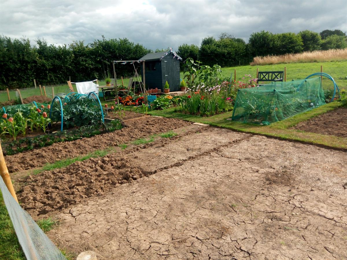 Allotments