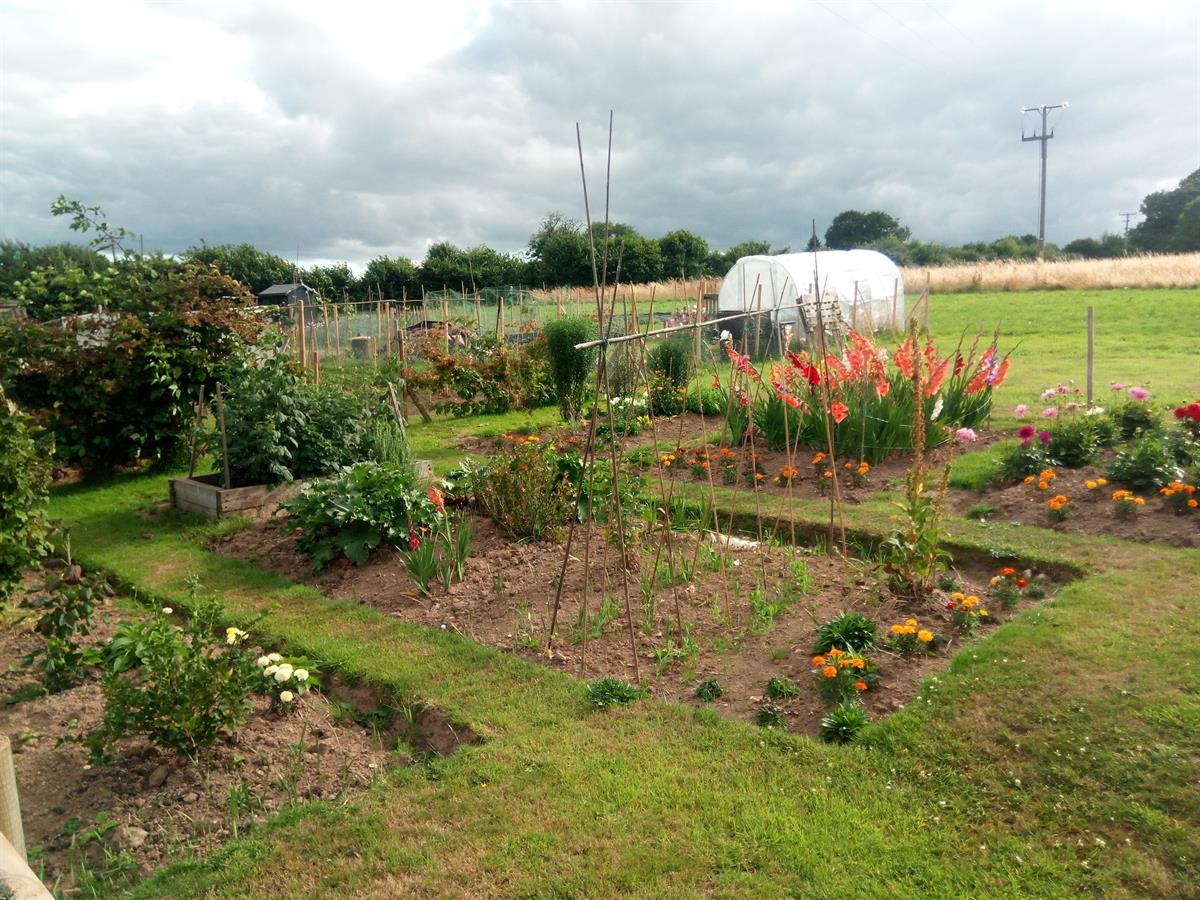 Allotments